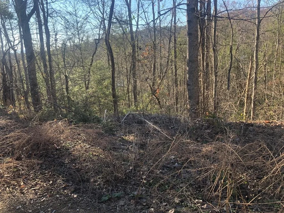 Unit for sale at 53 Butternut Lane, Sevierville, TN 37876