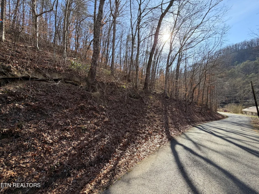 Unit for sale at 597 Avondale Hollow Rd, Rutledge, TN 37861