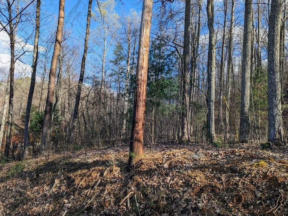 Unit for sale at 0 SHAGBARK HICKORY Ridge, Sevierville, TN 37862