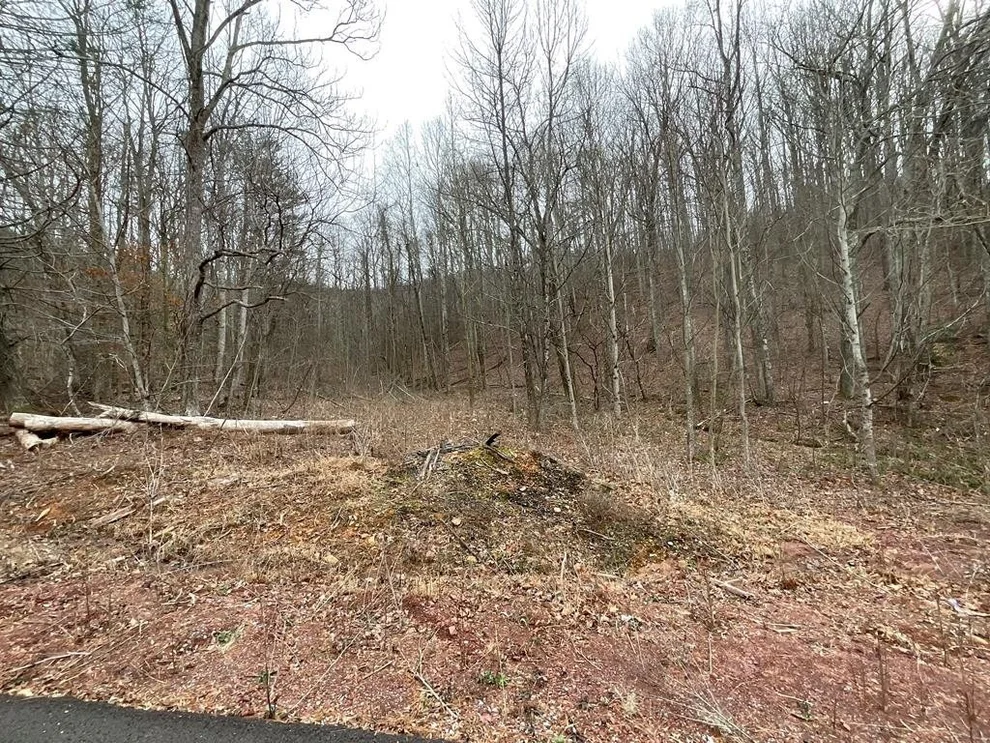 Unit for sale at 1441 Blue Springs, Newport, TN 37821