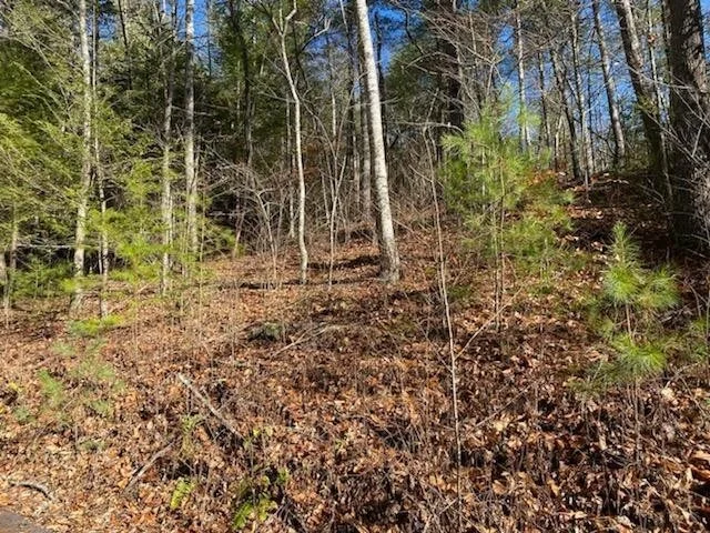 Unit for sale at 115 Sunshine Way, Townsend, TN 37882