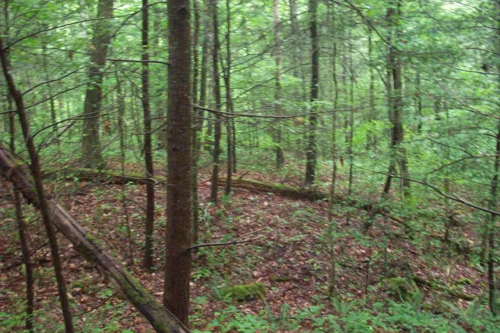Unit for sale at 429 Chetola Tr, Townsend, TN 37882