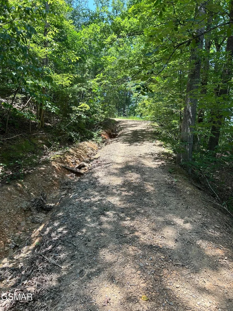 Unit for sale at 0 Henderson Springs Road, Pigeon Forge, TN 37863