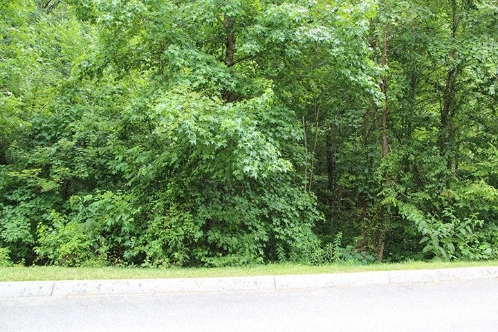 Unit for sale at 0 Lot 83 Smoky Cove Rd, Sevierville, TN 37876