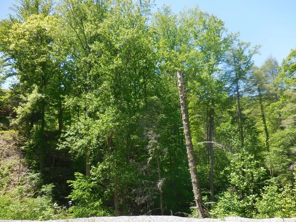 Unit for sale at 53 Little Cove Road, Sevierville, TN 37862