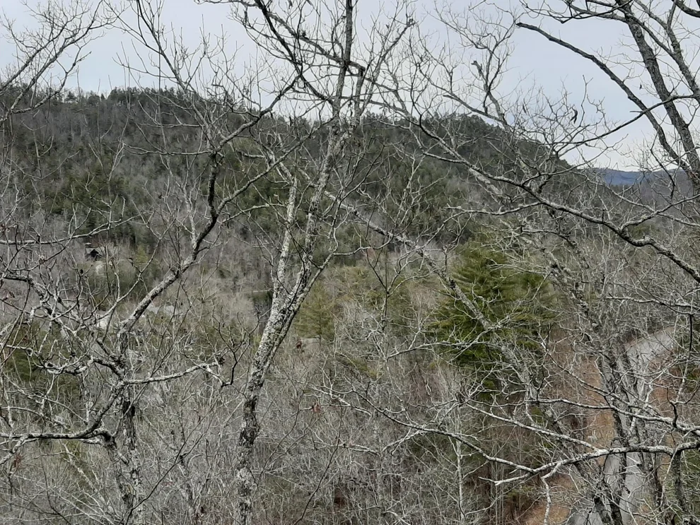 Unit for sale at 834 Tanasi Trail, Townsend, TN 37882