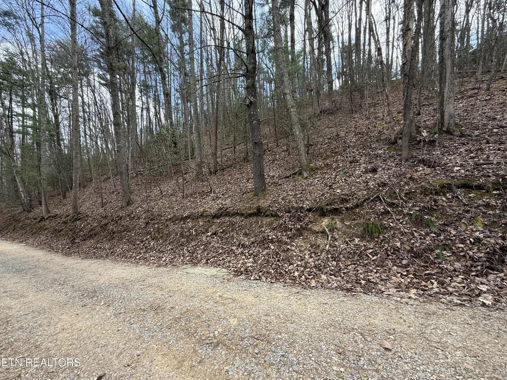 Unit for sale at 401 Reece Hollow Rd, Del Rio, TN 37727