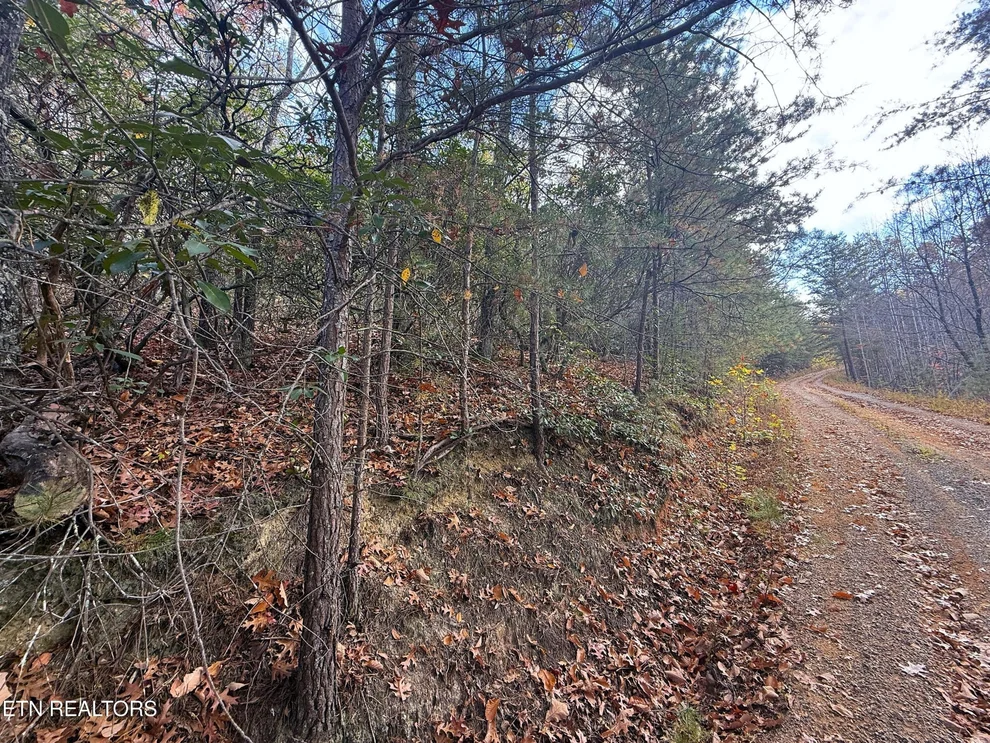 Unit for sale at 252 Green Forest Rd, Cosby, TN 37722