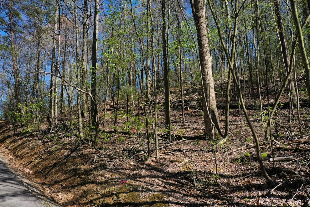 Unit for sale at 804 Rhododendron Lane, Sevierville, TN 37876