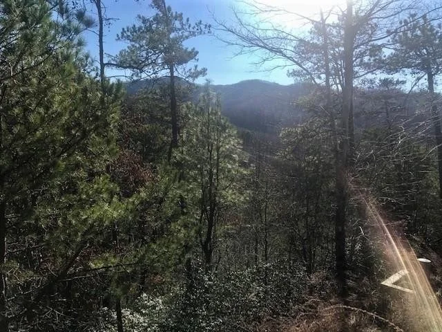 Unit for sale at 9 Lighting Strike Drive, Sevierville, TN 37862
