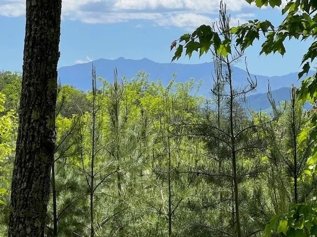 Unit for sale at 134 Summit Trails Drive, Sevierville, TN 37862