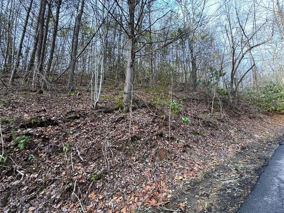 Unit for sale at 10 Black Gum Road, Gatlinburg, TN 37738
