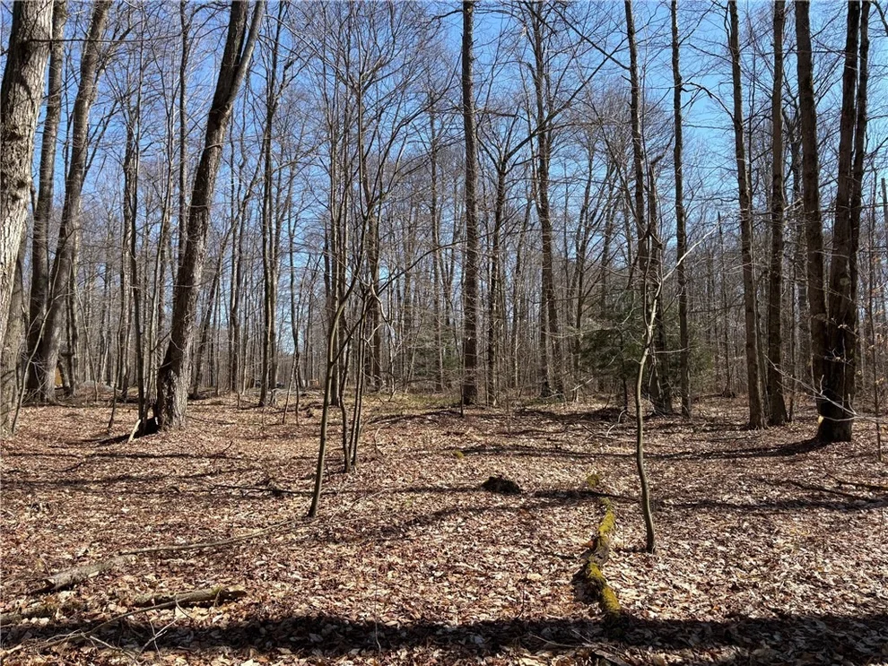 Unit for sale at 0 Sam Rd, Wilcox, PA 15870