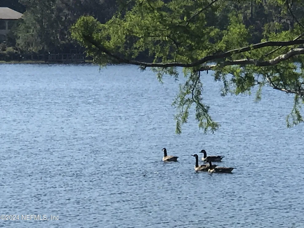 Unit for sale at XX SIMPSON Drive, Interlachen, FL 32148