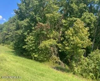 Unit for sale at 0 217 County Road, Middleburg, FL 32234