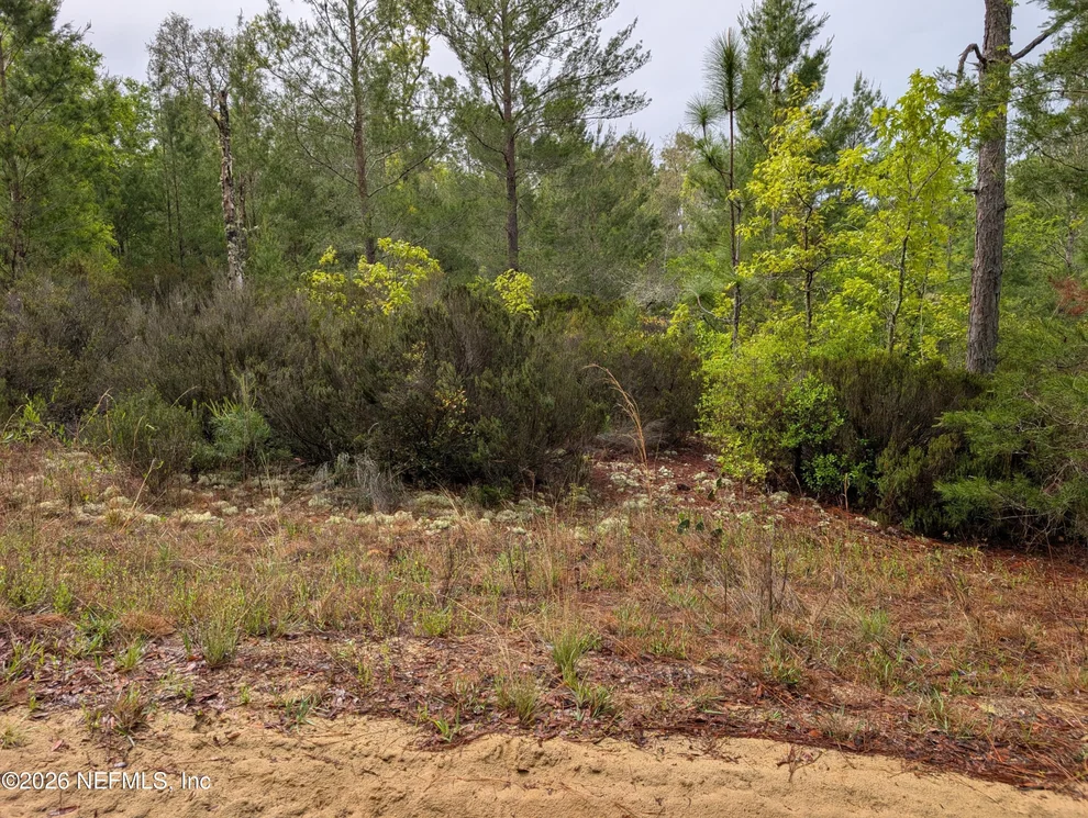 Unit for sale at LOT 34 SE 10TH Street, Interlachen, FL 32148