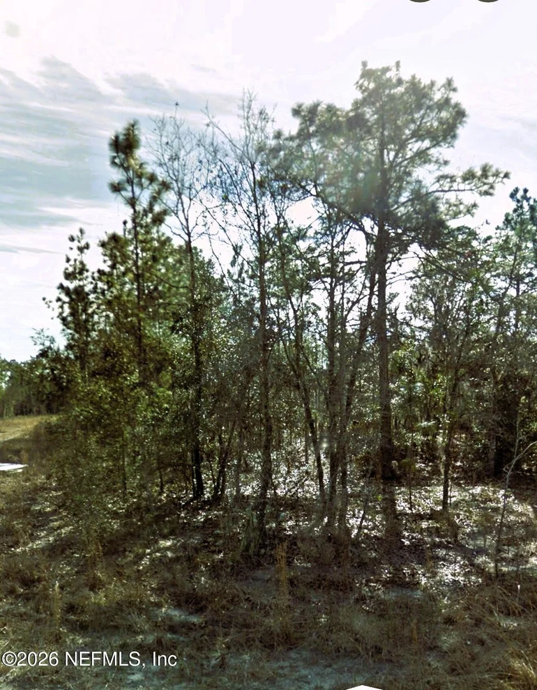 Unit for sale at 00 NE 3RD Place, Williston, FL 32696