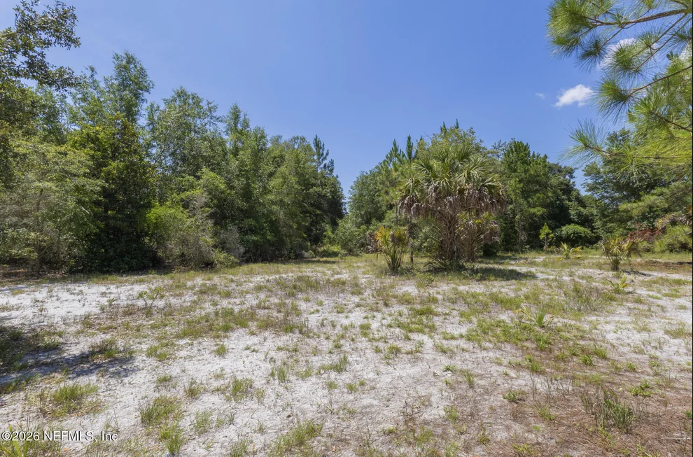 Unit for sale at 133 LANDVALE Street, Georgetown, FL 32139
