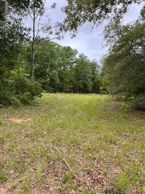 Unit for sale at 0 MILTON Avenue, Interlachen, FL 32148
