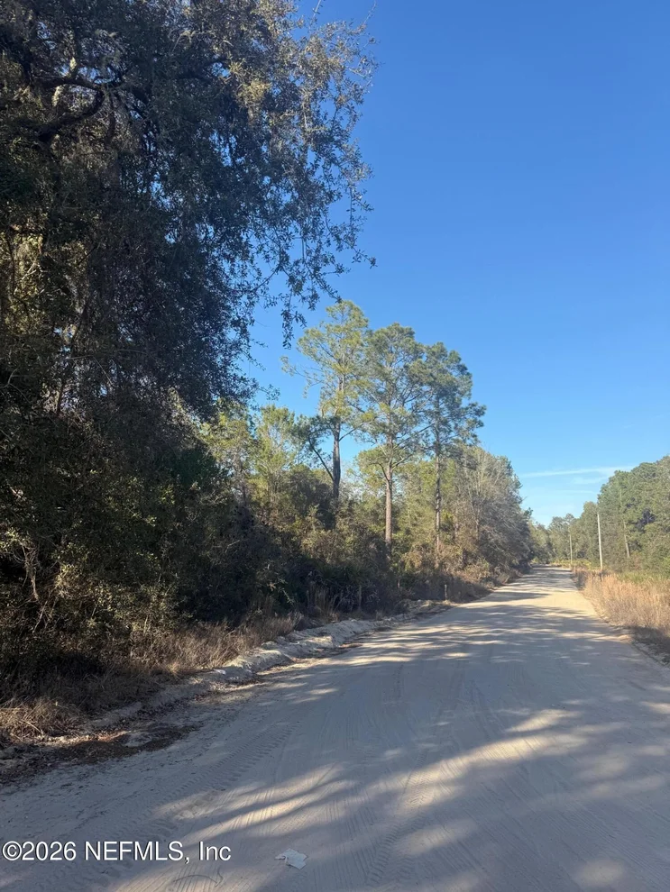 Unit for sale at ZZZ NETTLES Drive, Florahome, FL 32140