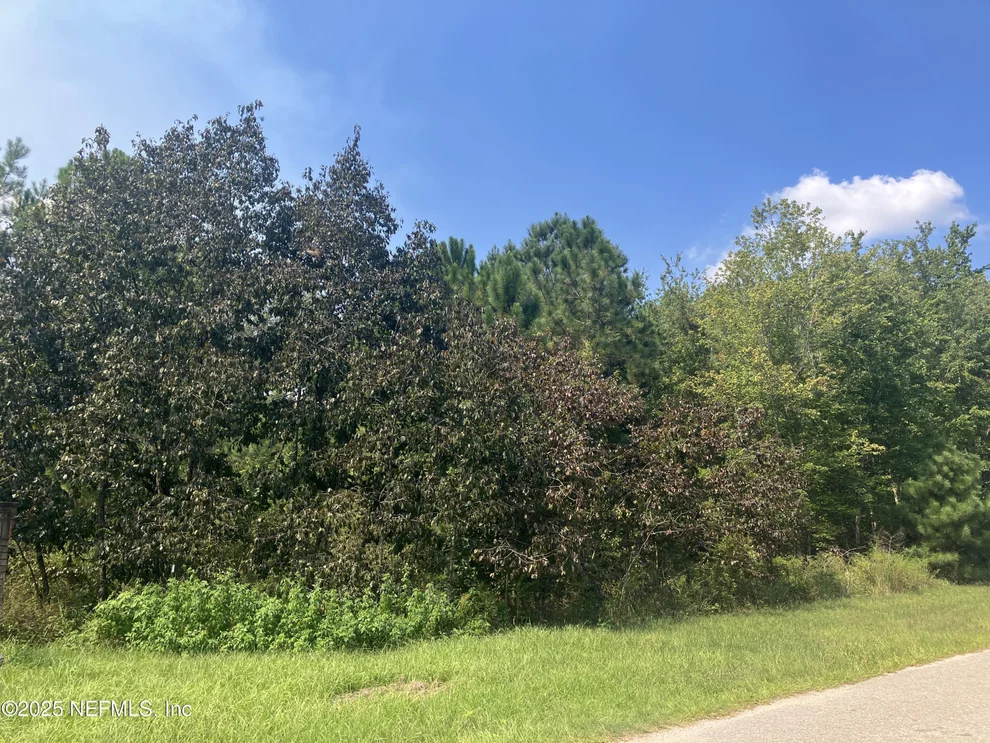 Unit for sale at 0 COUNTY RD 217, Middleburg, FL 32234