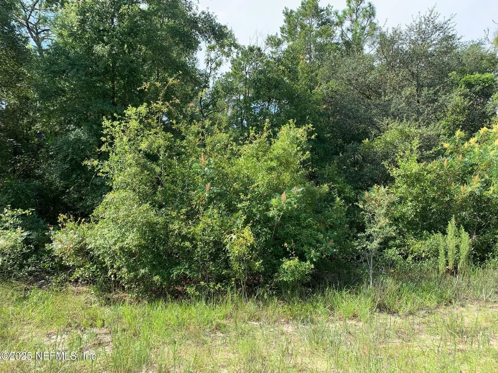 Unit for sale at 119 LYNNWOOD Avenue, Interlachen, FL 32148