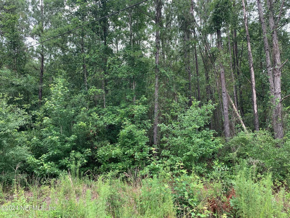 Unit for sale at 2373 BROOM Court, Middleburg, FL 32068