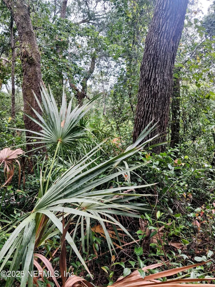 Unit for sale at 5377 CUSTER Street, Keystone Heights, FL 32656