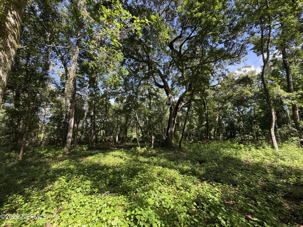 Unit for sale at 241 INDIAN LAKES FOREST Road, Florahome, FL 32140