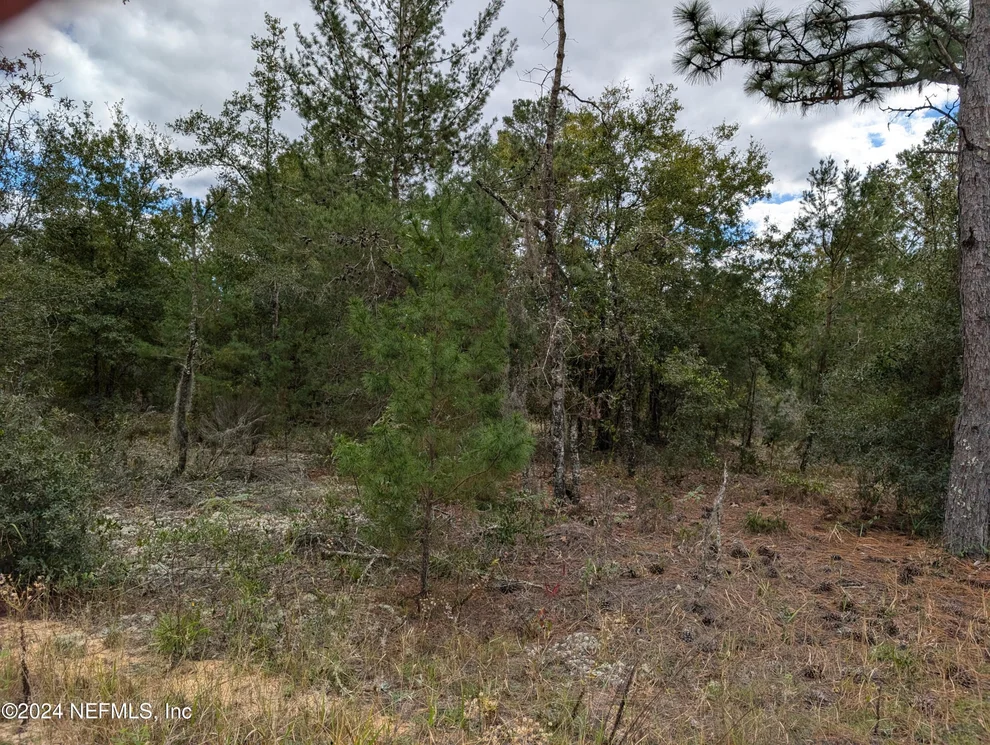 Unit for sale at 0200 PINE Way, Interlachen, FL 32148