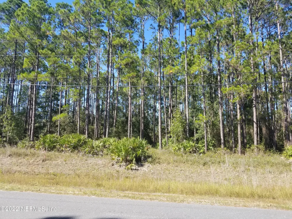 Unit for sale at 0 HAVENWOOD Road, Middleburg, FL 32068