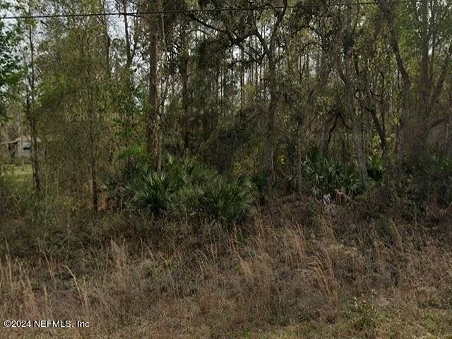 Unit for sale at 0 BRITT Street, Interlachen, FL 32148