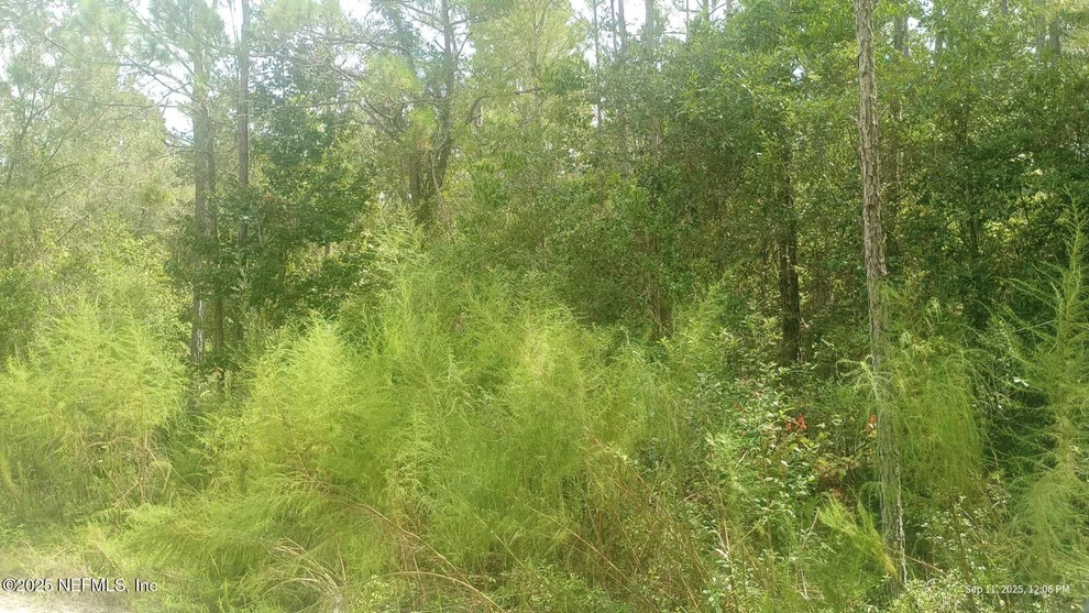 Unit for sale at 0 KIRCHHERR Avenue, Hastings, FL 32145