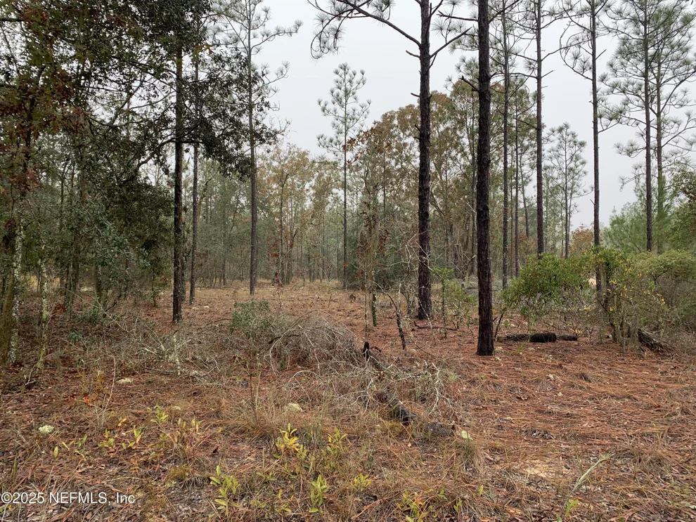 Unit for sale at 00 COLONY Street, Hawthorne, FL 32640