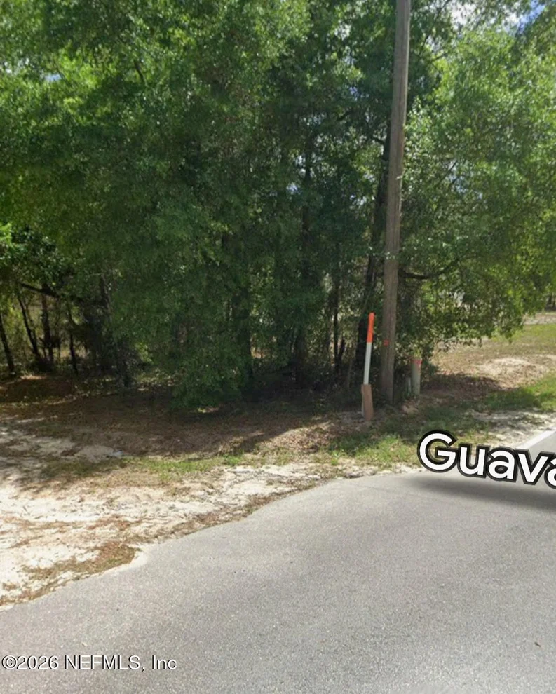 Unit for sale at 202 GUAVA Avenue, Pomona Park, FL 32181