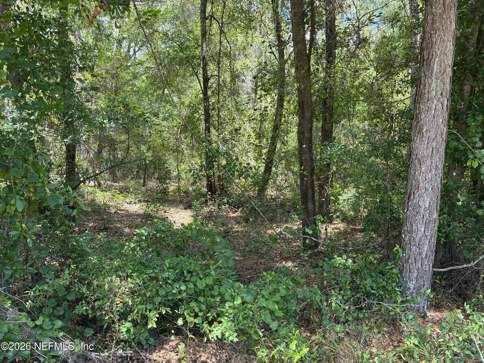 Unit for sale at 218 BEECHER SPRINGS Road, Pomona Park, FL 32181