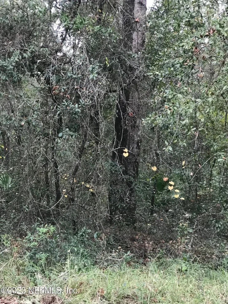 Unit for sale at LOT 27 BRETT Avenue, Interlachen, FL 32148