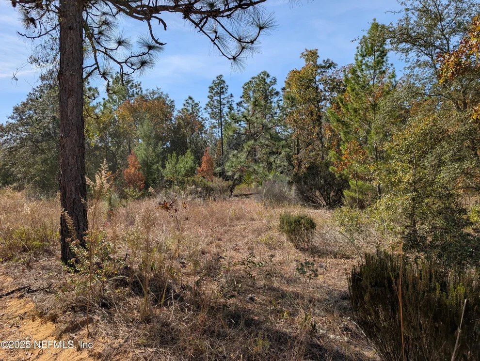 Unit for sale at 0570-0020 VIOLET Avenue, Interlachen, FL 32148
