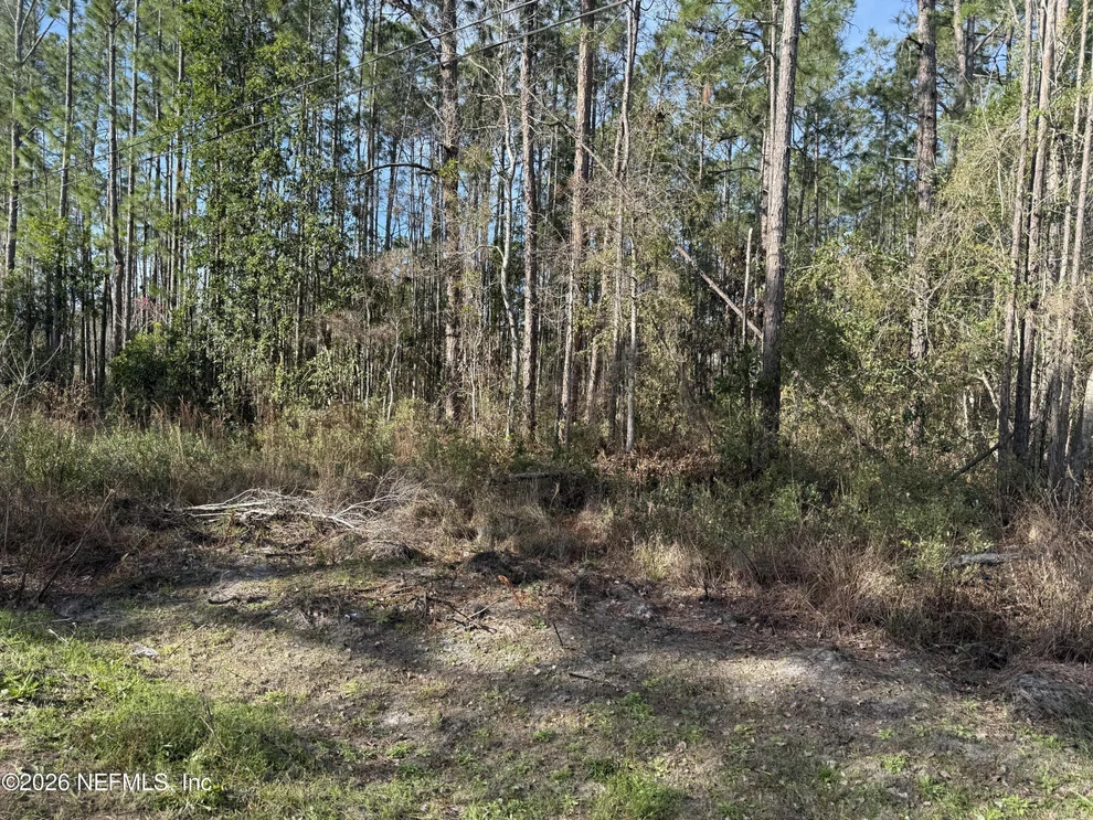 Unit for sale at 0 WOLF Trail, Middleburg, FL 32068