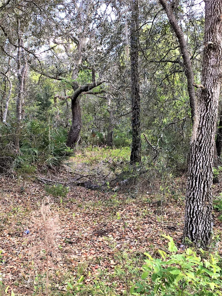 Unit for sale at 105 THOMPSON Avenue, Interlachen, FL 32148