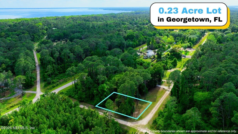 Unit for sale at TBD CORNER LOT 1 BIRCH Boulevard, Georgetown, FL 32139
