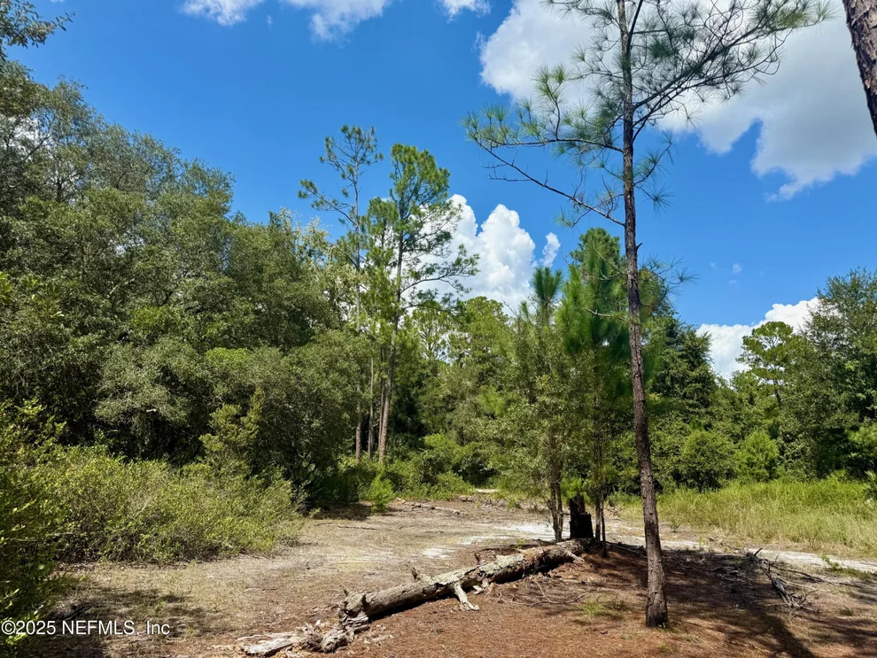 Unit for sale at XXX NETTLES Road, Florahome, FL 32140