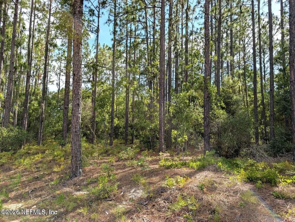 Unit for sale at 0 CR 218 PASAFINO Road, Green Cove Springs, FL 32043