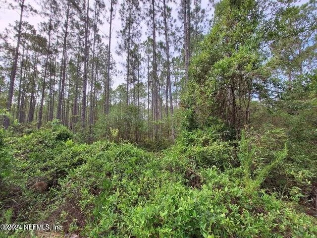 Unit for sale at 107 MOSSWOOD Street, Georgetown, FL 32139