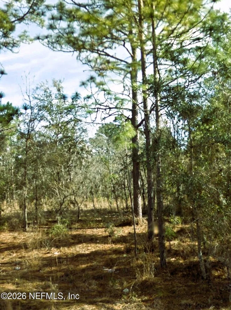 Unit for sale at 000 NE 3RD Place, Williston, FL 32696