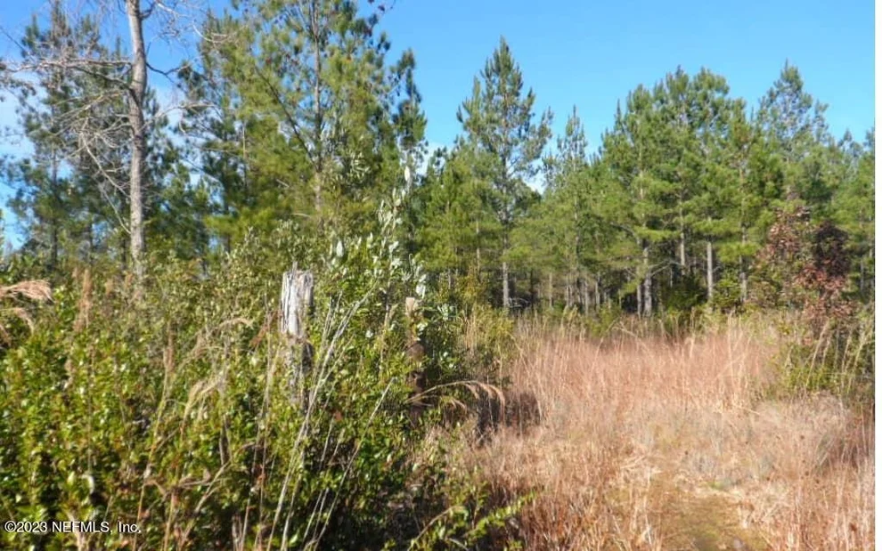 Unit for sale at LOT 0 COUNTY RD 241, Lake Butler, FL 32054