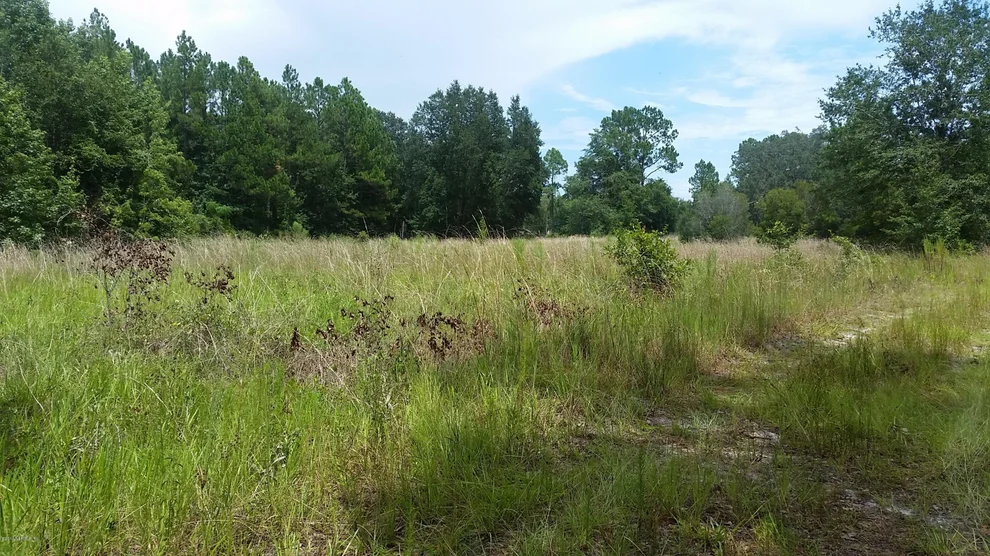 Unit for sale at 114 BOSTWICK CEMETERY Road, Palatka, FL 32177