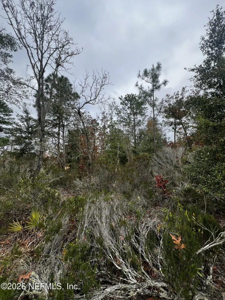 Unit for sale at 307 LEMON Street, Interlachen, FL 32148