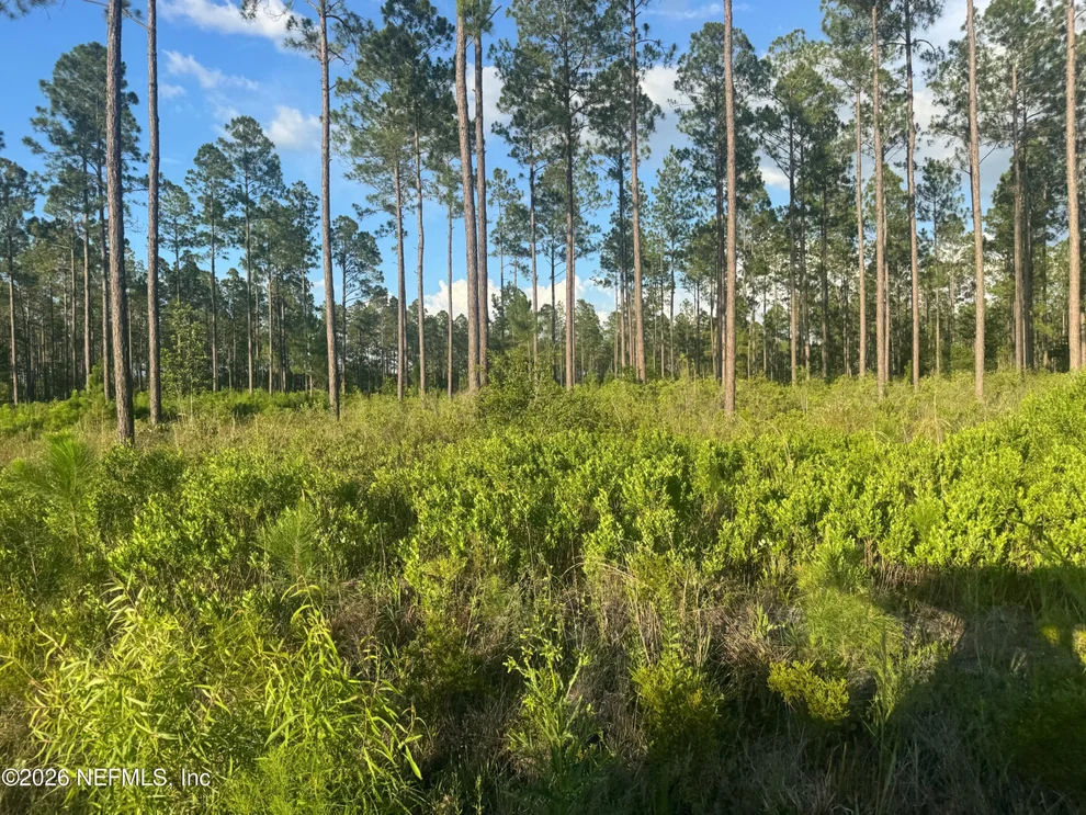 Unit for sale at TBD NW CO RD 235, Lake Butler, FL 32054