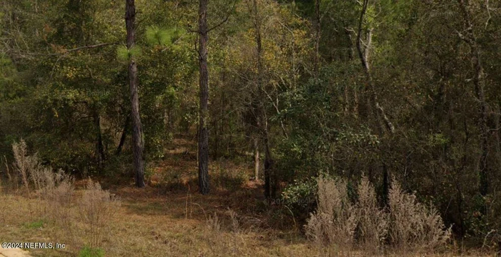 Unit for sale at 0 MICHAEL Avenue, Interlachen, FL 32148